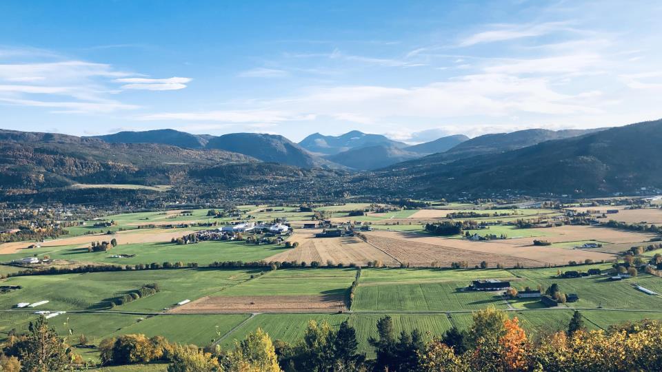 Lenke til artikkel: Høyring: Næringsplan 2021 - 2024