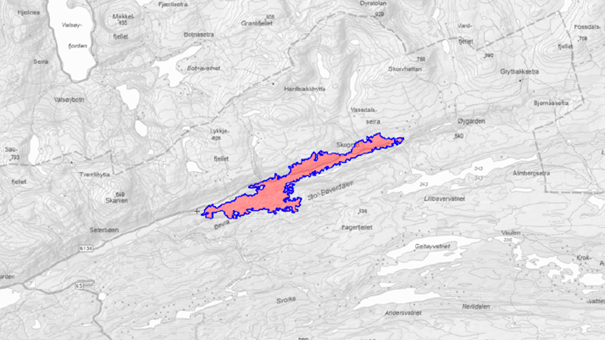 Lenke til artikkel: Utbetring av mobilnettet i område av Bøverdalen