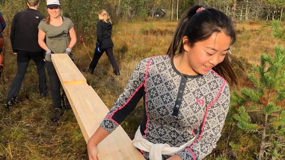 Lenke til artikkel: Kommuneplanen sin samfunnsdel 2024-2036 -høyring 