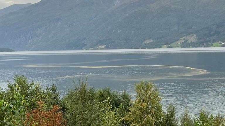 Lenke til artikkel: Badevasskvaliteten på Nordvik er bra