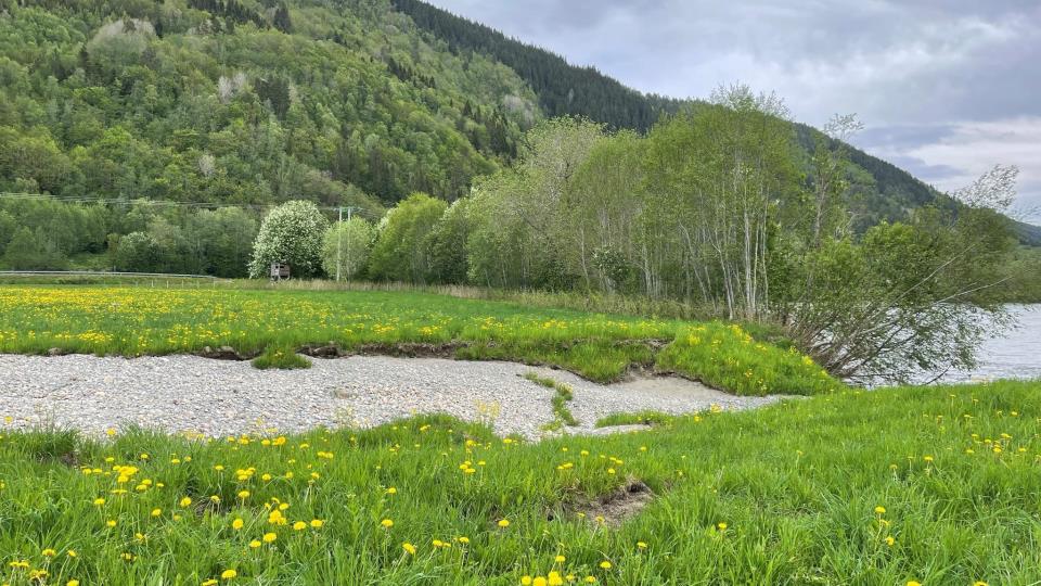 Lenke til artikkel: Kløverstukveld om flaum og erosjonssikring