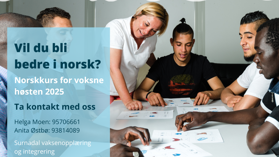 Lenke til artikkel: Norsskurs for vaksne 