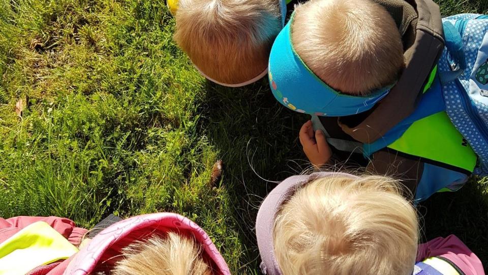 Lenke til artikkel: Skal du søke barnehageplass?