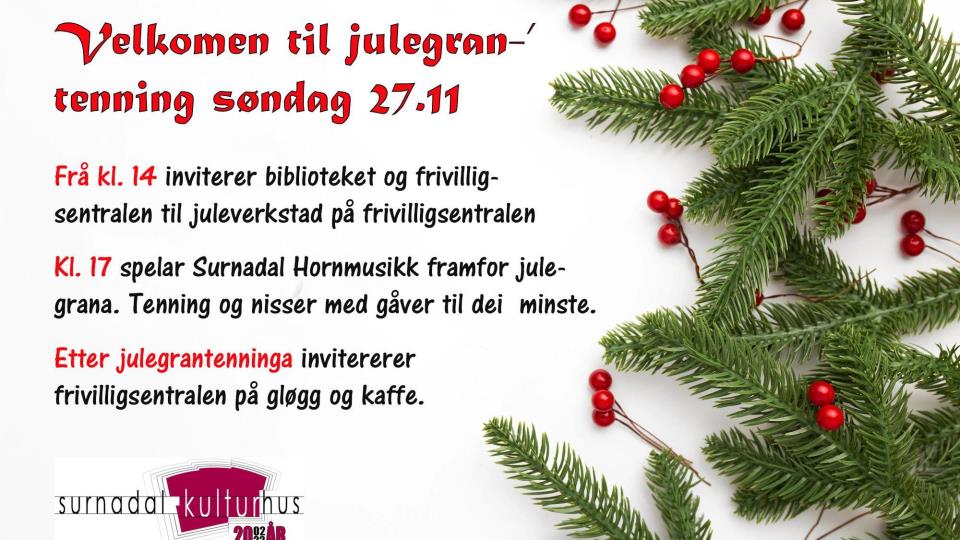 Lenke til artikkel: Julegrantenning på Skei