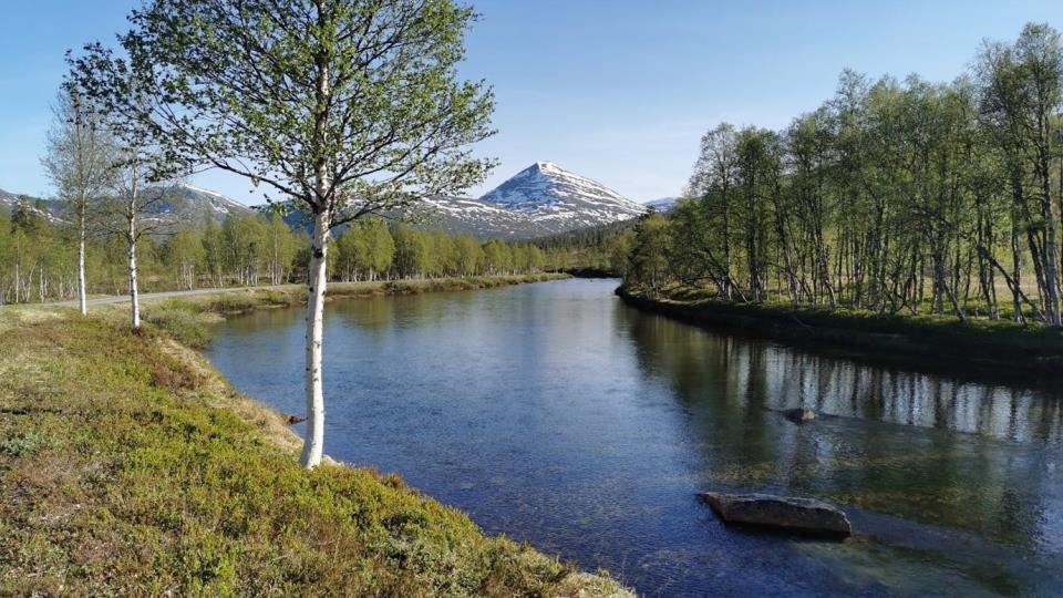 Lenke til artikkel: På tur med ordføraren 