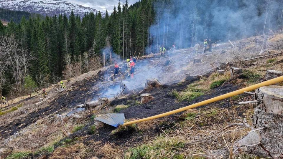 Lenke til artikkel: Farevarsel om skogbrannfare på oransje nivå i Surnadal