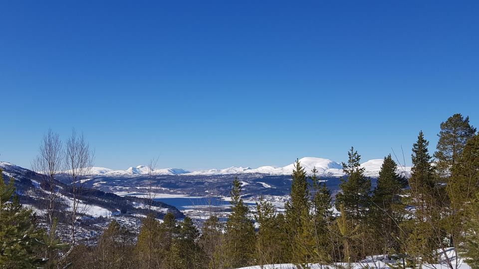 Lenke til artikkel: Kvartalsrapport 1. kvartal 2023