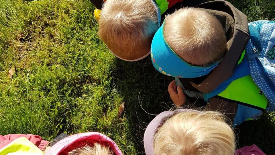 Lenke til artikkel: Har du hugsa å søke barnehageplass?