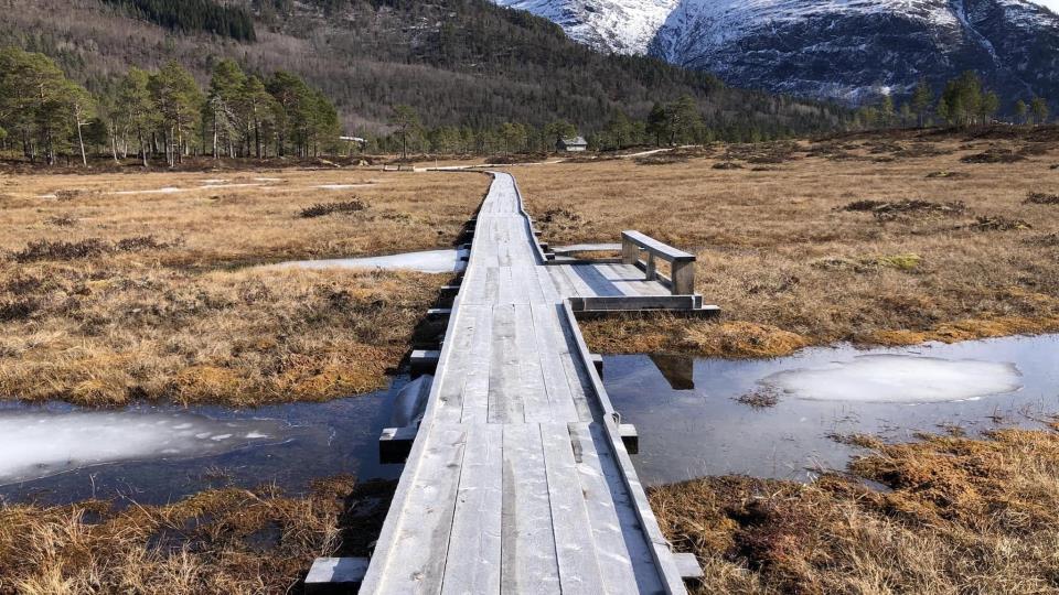 Lenke til artikkel: Kavlvegen kultursti framheva som Forbildeanlegg