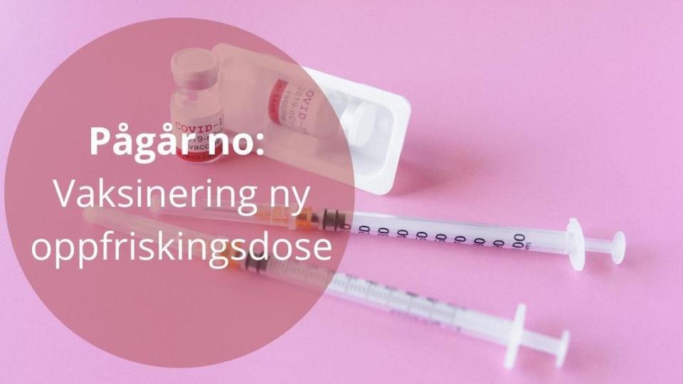 Lenke til artikkel: Utvida tilbod om ny oppfriskingsdose i april til eldre over 75 år