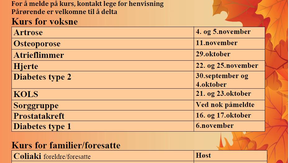 Lenke til artikkel: Kurs for pasientar og pårørande hausten 2024