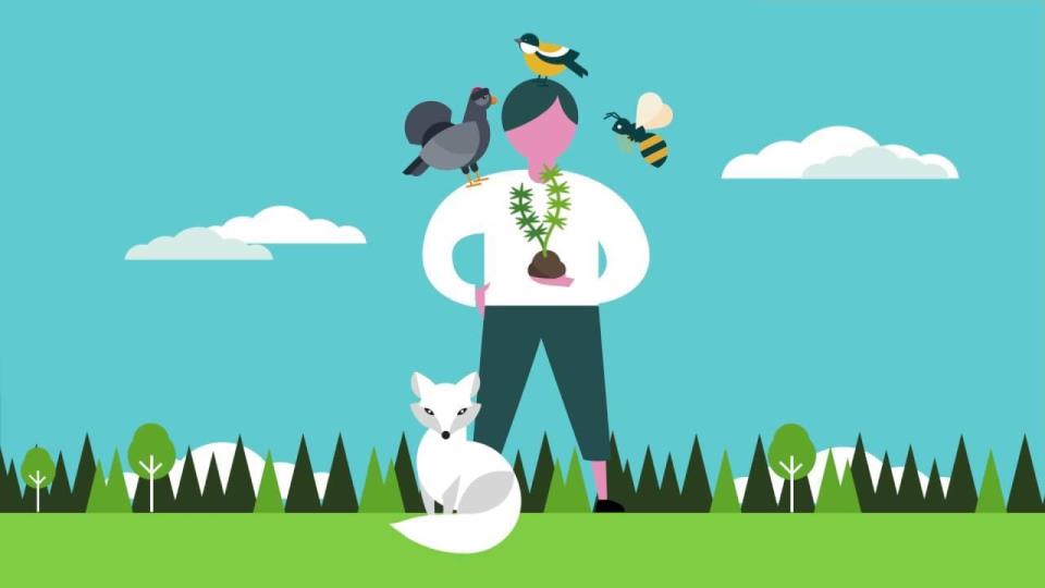 Lenke til artikkel: Kommunedelplan for naturmangfald – planoppstart og planprogram på høyring 