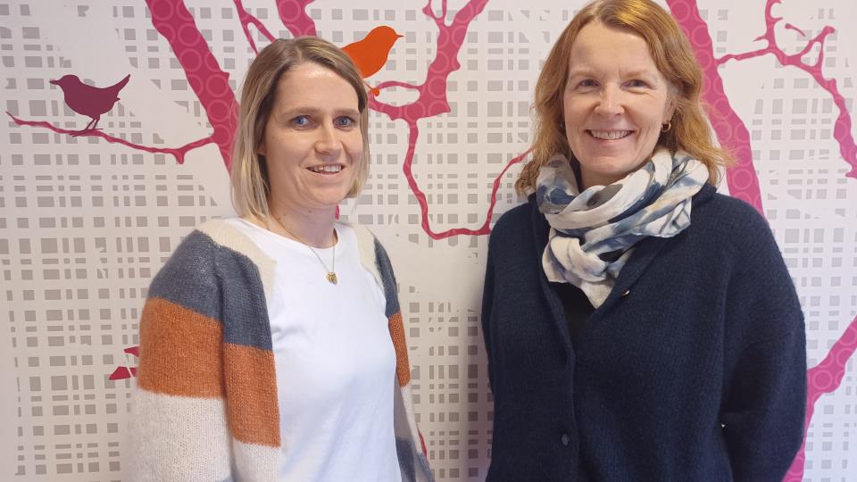 Lenke til artikkel: Nytt kurs for småbarnsforeldre i barseltida