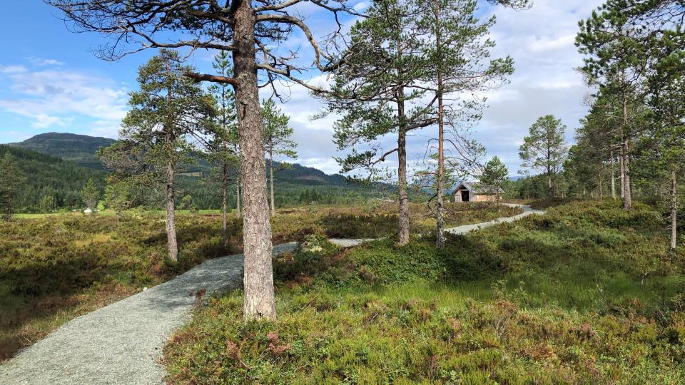 Lenke til artikkel: Friluftslivets veke i Surnadal
