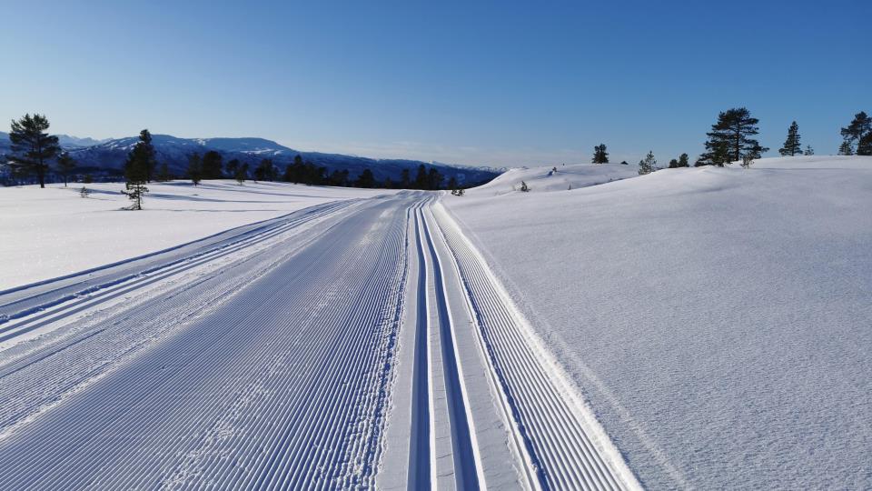 Lenke til artikkel: Surnadalingane mest aktive i Stikk UT! ski denne vinteren