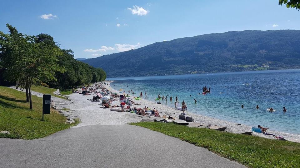 Lenke til artikkel: Handlingsplan 2022