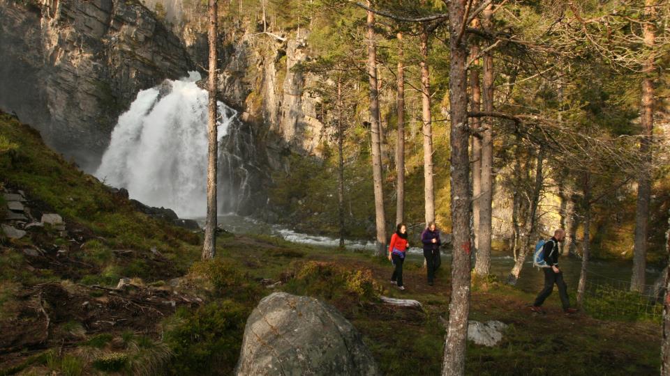 Lenke til artikkel: Kommunedelplan for naturmangfald i Surnadal kommune er på høyring