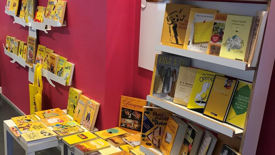 Lenke til artikkel: Kapittel 7: Bibliotek