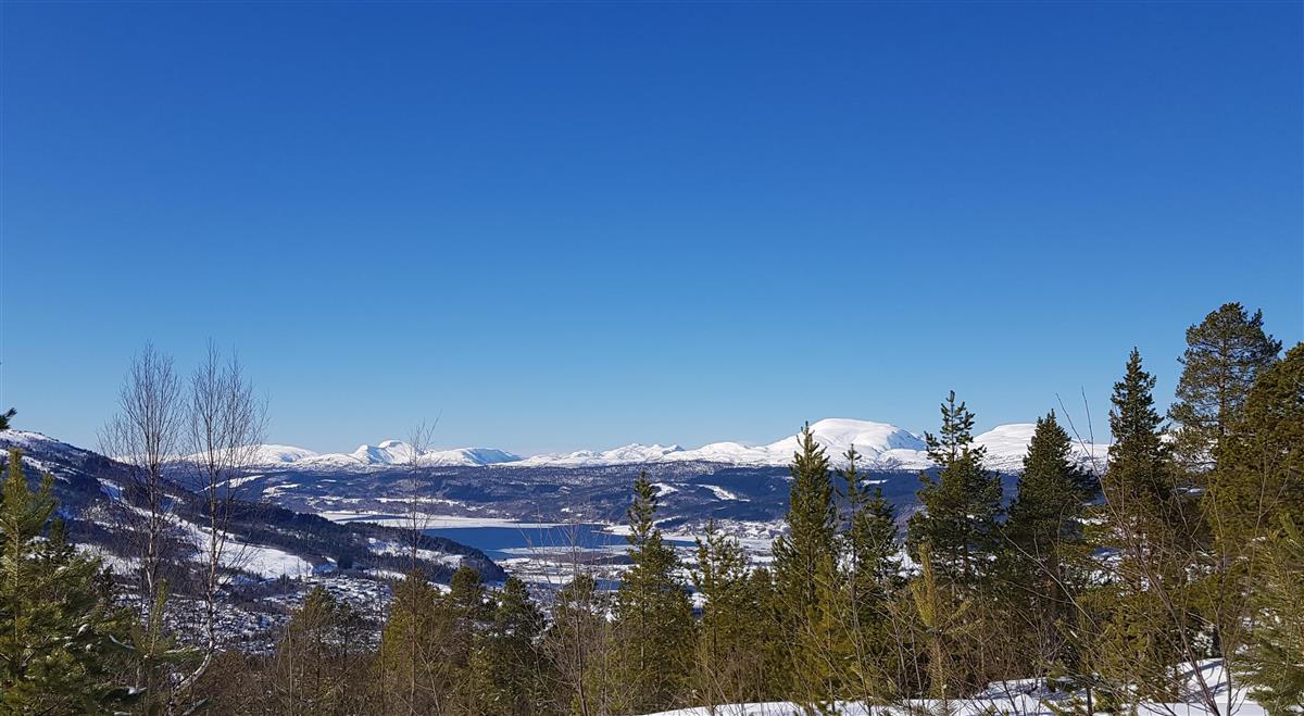 Foto med vinterutsikt frå Skeisnebba - Klikk for stort bilde